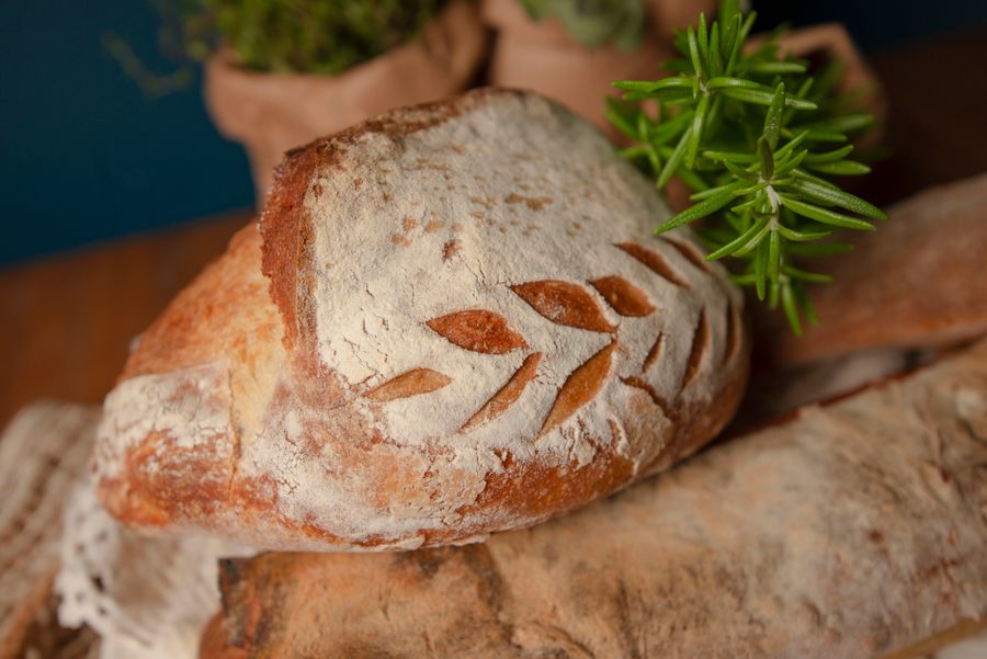 Floured sourdough loaf scored with a leaf pattern, fresh herbs behind